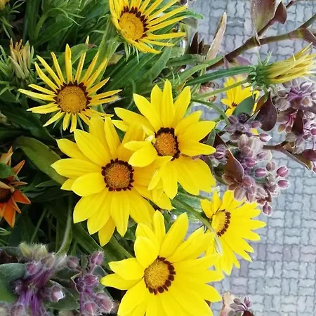 Ma.di Bb Rocca San Giovanni