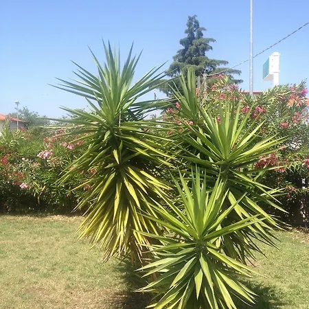 Ma.di Bb 4* Rocca San Giovanni