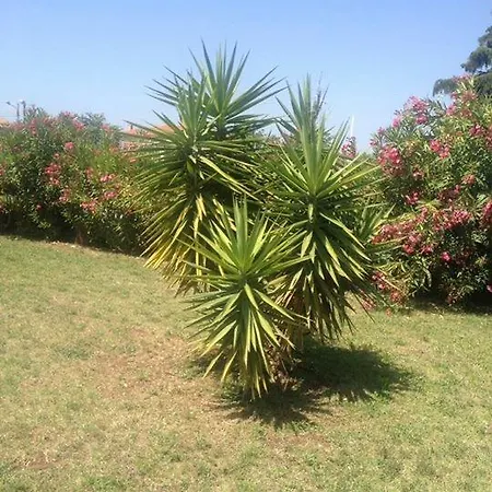 Bed & Breakfast Ma.di Bb Rocca San Giovanni