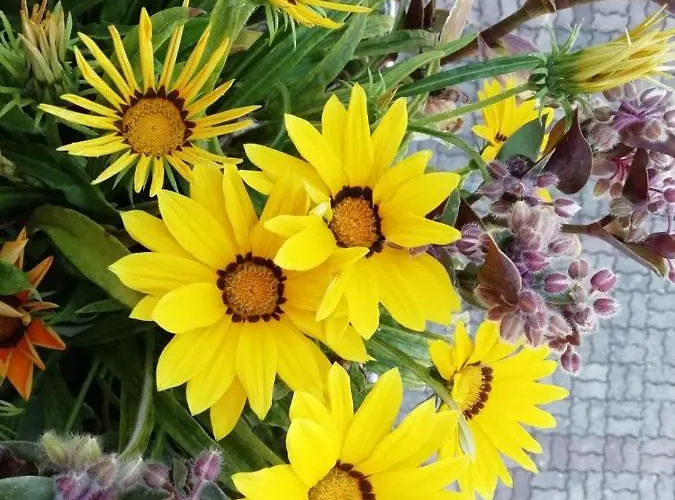 Ma.di Bb Рокка-Сан-Джованни